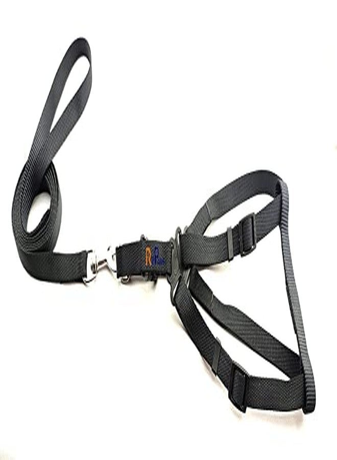 Pups&Pets طقم مقود قابل للتعديل من النايلون مقاس 15 مم مع حزام صدر مقاس 0.5 بوصة من Pups&Pets للكلاب الصغيرة والمتوسطة - أسود - Image 1